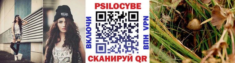 где найти   mega онион  Псилоцибиновые грибы Psilocybe  Сосновоборск 