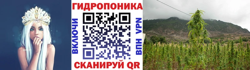 Марихуана план  кракен ссылки  Сосновоборск 